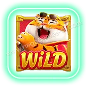 Fortune Tiger_Wild