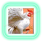 Rooster Rumble_Symbol2