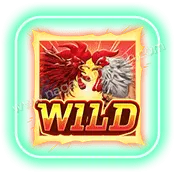 Rooster Rumble_Wild