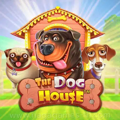 NG-Banner-The-Dog-House-min