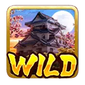 Ninja-vs-Samurai_Wild