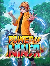NG-Icon-Power-of-Ninja-min