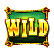 NG-Wild-Bounty-Gold-min
